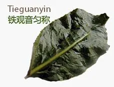 121212128912.png